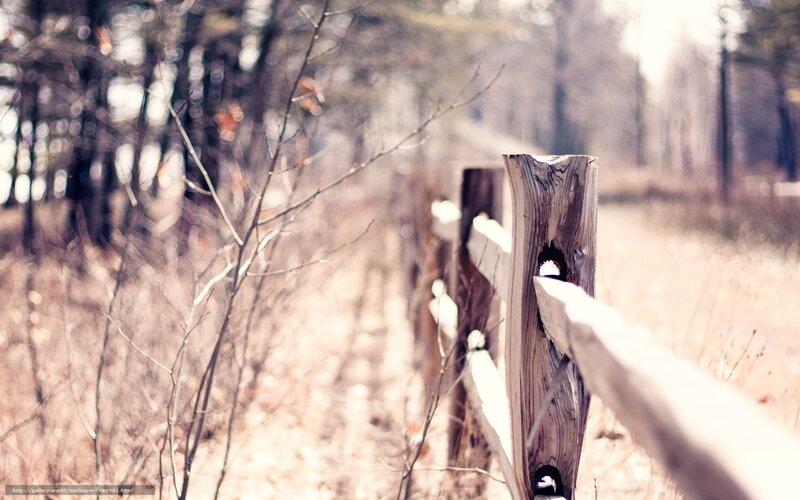 Wooden fence in forest
