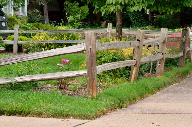 Wooden Fence in Garden — Green, Calm