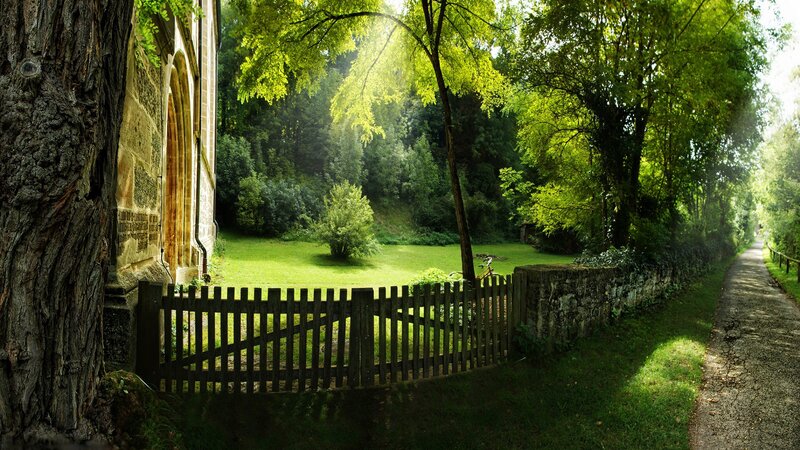 Wooden Fence in Garden — Green, Serene, Afternoon, Photograph, Tree