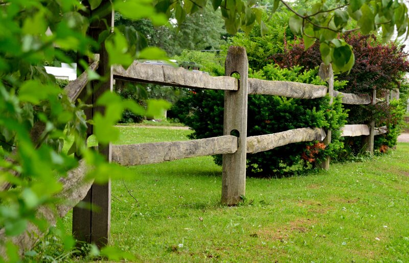Wooden Fence in Garden — Green, Serene, Summer
