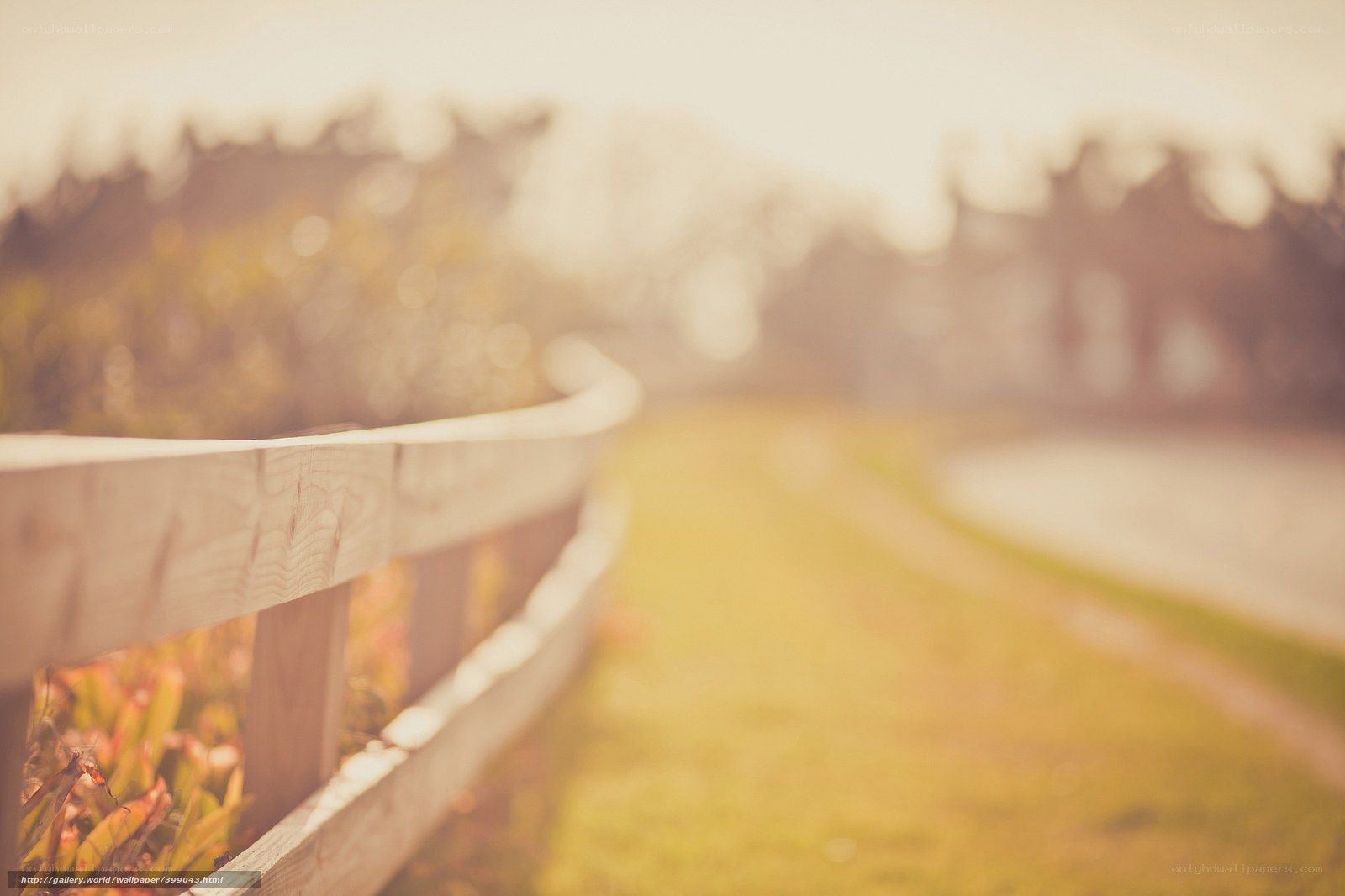Wooden fence in golden light