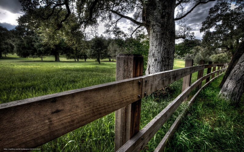 Wooden fence in green field