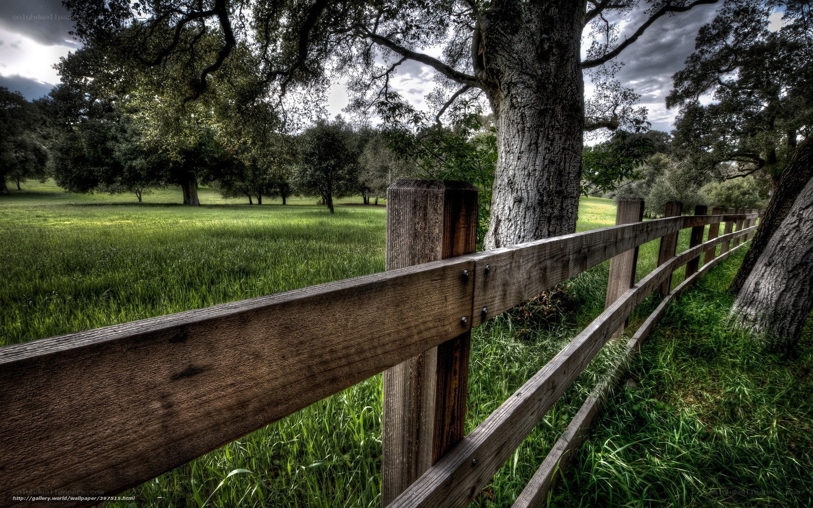 Wooden fence in green field