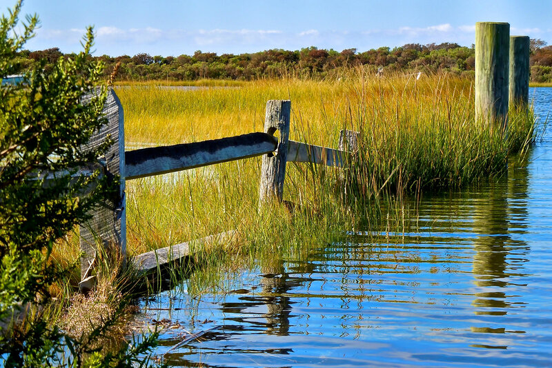 Wooden Fence in Marsh