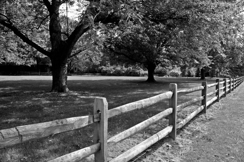 Wooden Fence in Park — Black