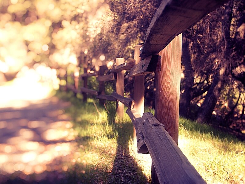 Wooden Fence in Park — Brown