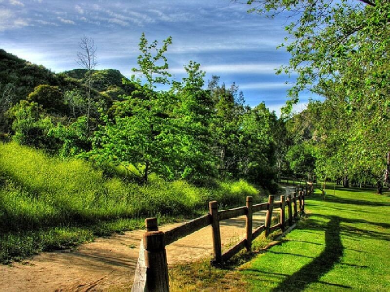 Wooden Fence in Park — Green, Serene, Afternoon