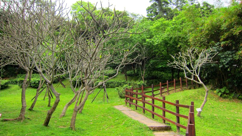 Wooden Fence in Park