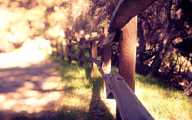 Wooden fence in sunlit path