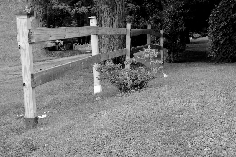 Wooden Fence in Yard — Black, Calm