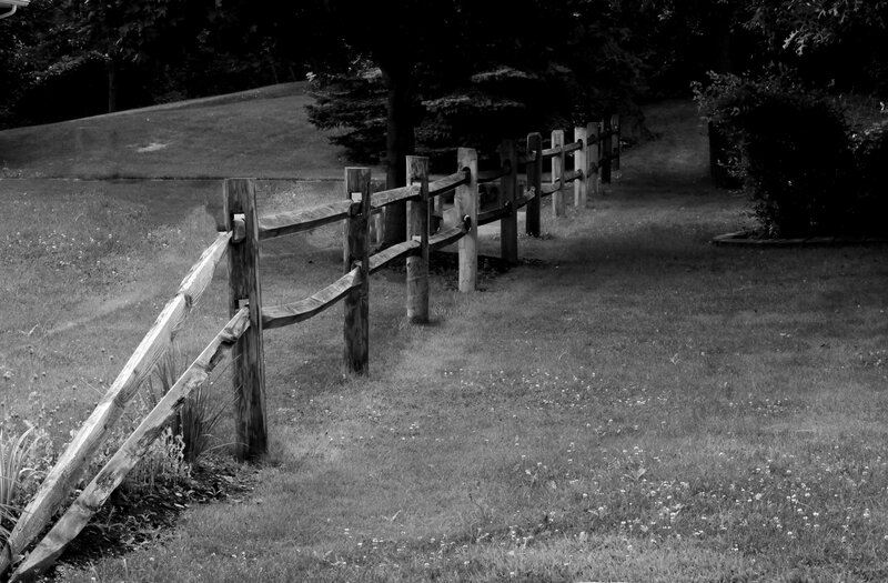 Wooden Fence in Yard — Black