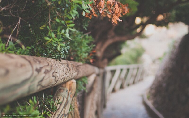 Wooden fence on a garden path