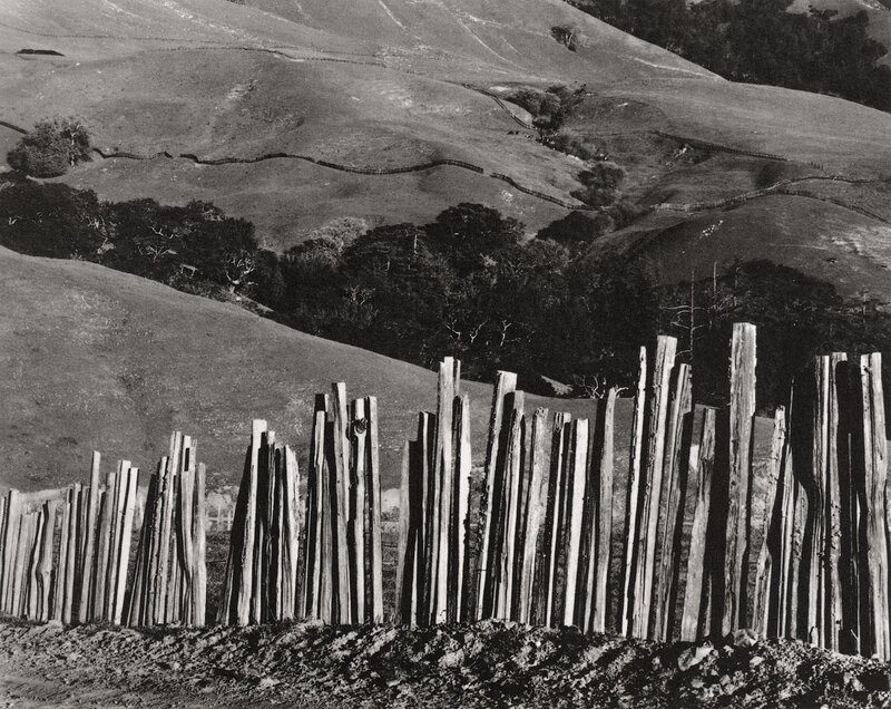 Wooden fence on a hillside