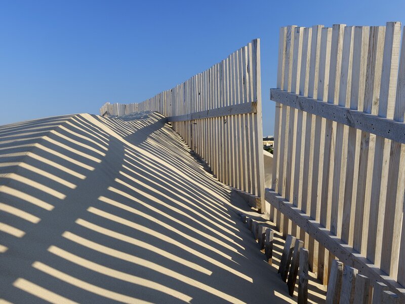 Wooden fence on a sand dune