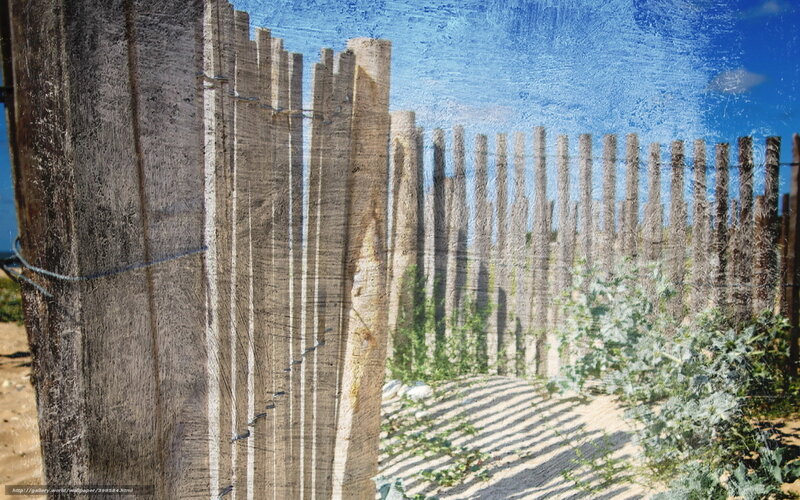 Wooden fence on a sunny day