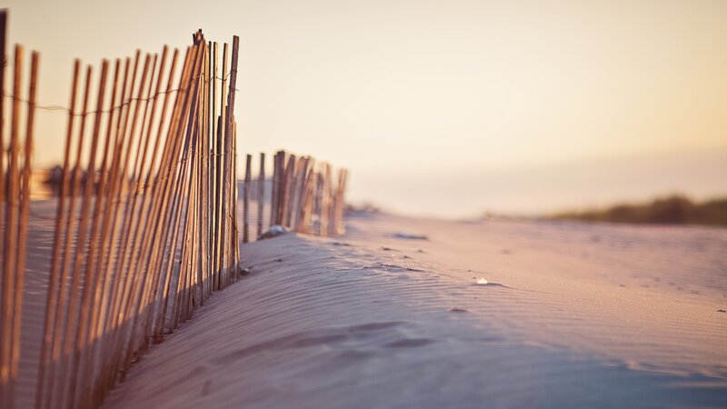 Wooden Fence on Beach — Beige, Serene