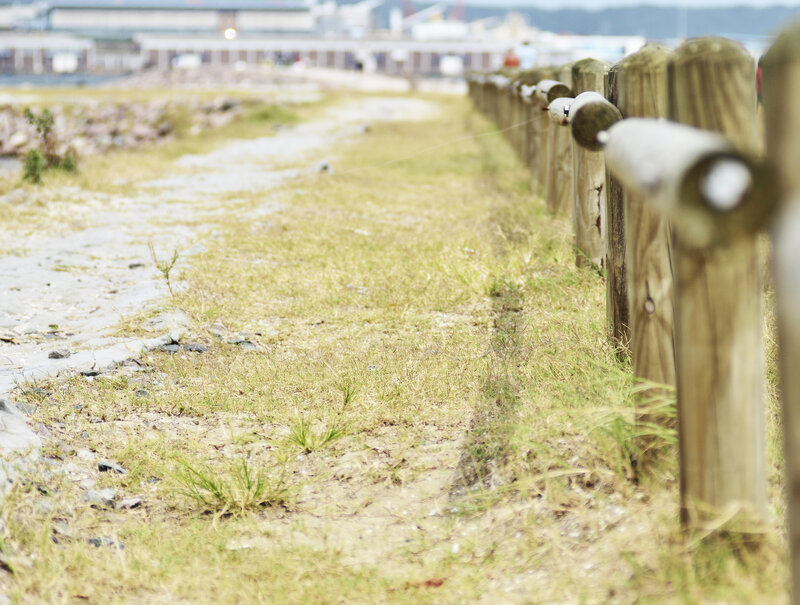 Wooden Fence on Beach — Brown