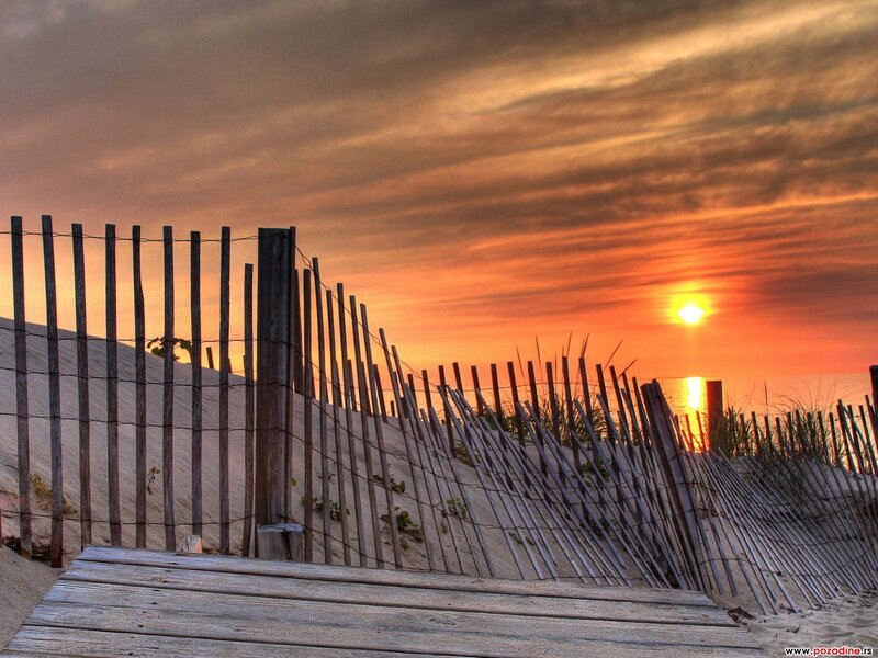 Wooden Fence on Beach — Orange