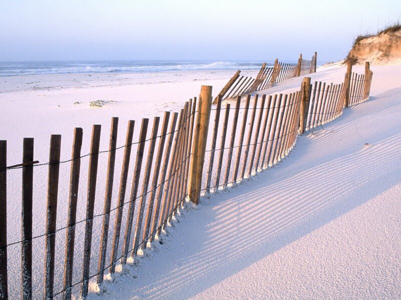 Wooden Fence on Beach — White, Serene