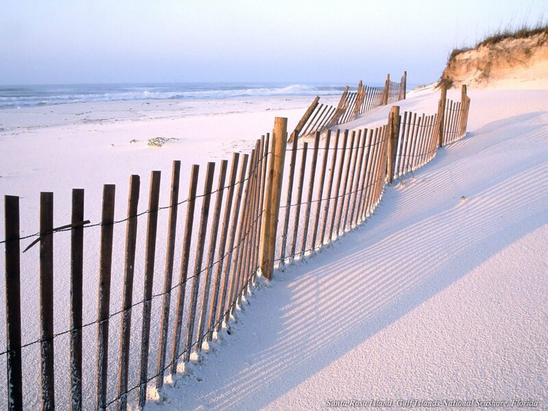 Wooden Fence on Beach — White