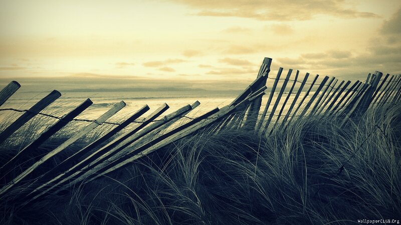 Wooden Fence on Beach — Yellow