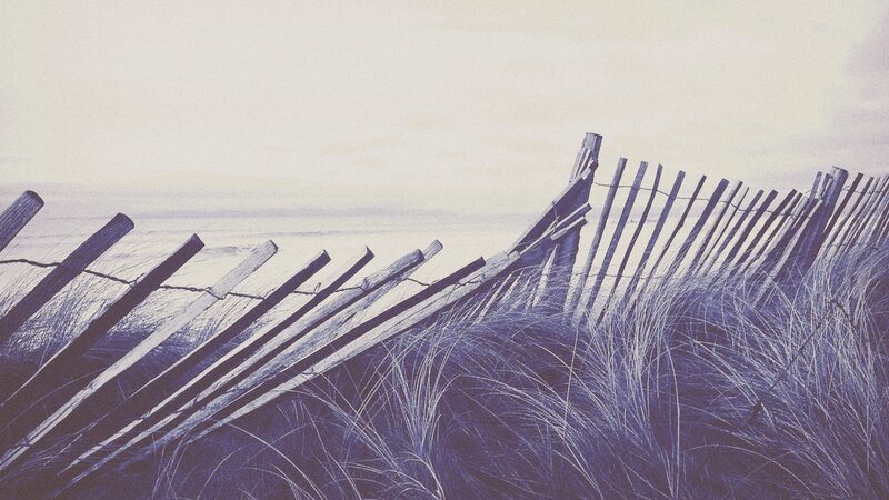 Wooden Fence on Dune — Purple
