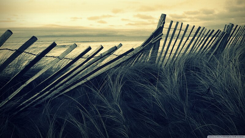 Wooden Fence on Dune