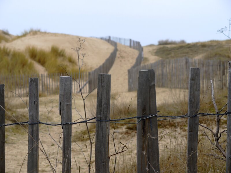 Wooden fence on sand dunes