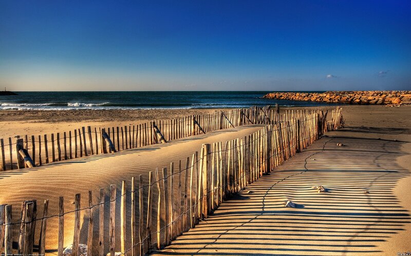 Wooden fence on sandy beach