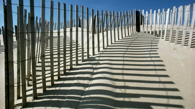 Wooden fence on sandy dune