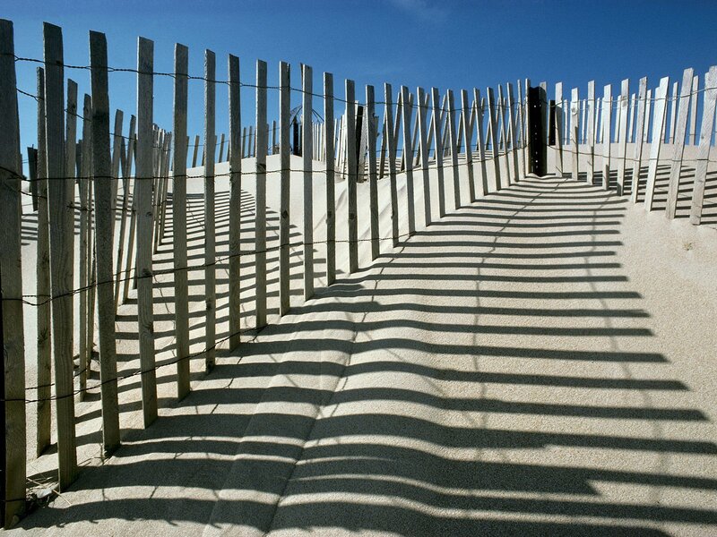 Wooden fence on sandy dune