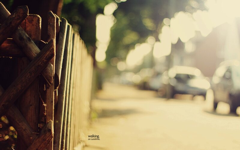Wooden Fence on Sidewalk