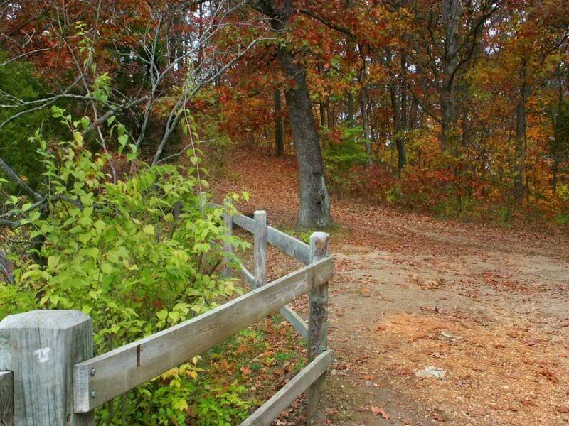 Wooden Fence on Trail