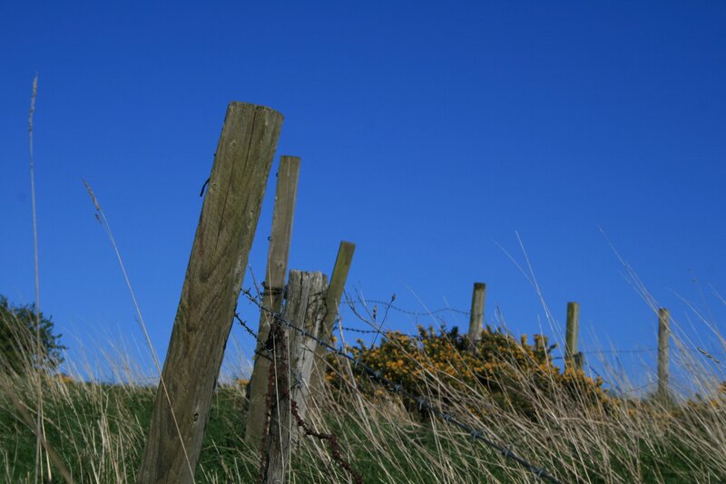 Wooden Fence Post — Blue, Serene, Afternoon