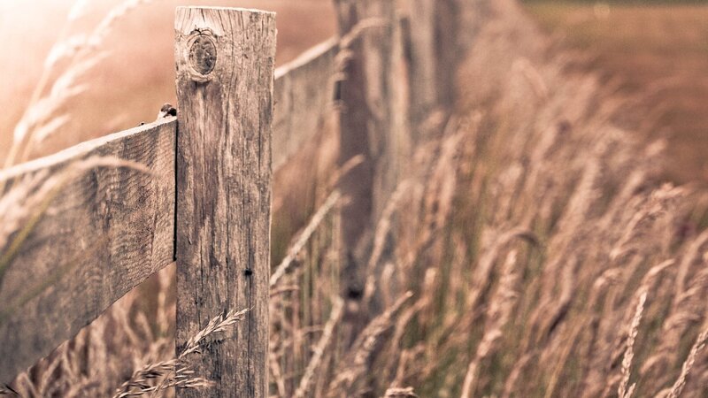 Wooden Fence Post — Brown, Serene, Sunset