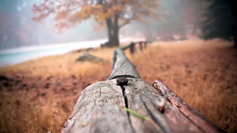 Wooden Fence Post — Brown, Serene