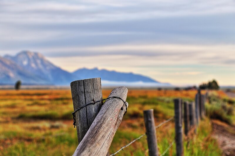 Wooden Fence Post — Brown