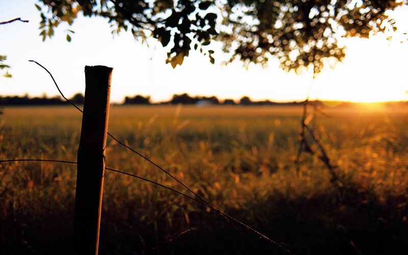 Wooden Fence Post — Gold