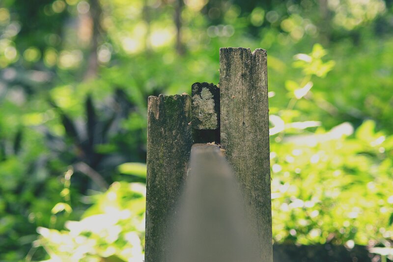 Wooden Fence Post — Green, Serene