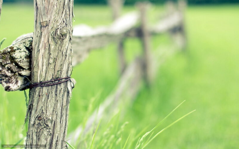 Wooden Fence Post — Green