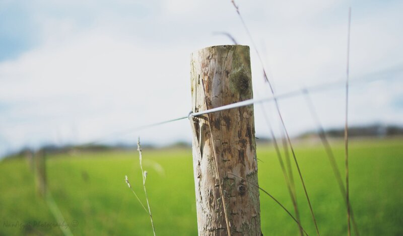 Wooden fence post in a field
