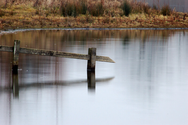 Wooden Fence Post in Water