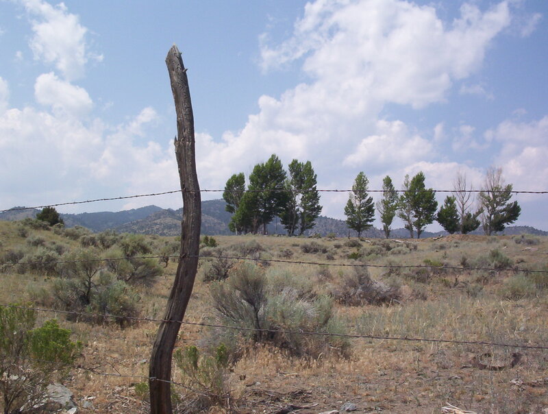 Wooden Fence Post