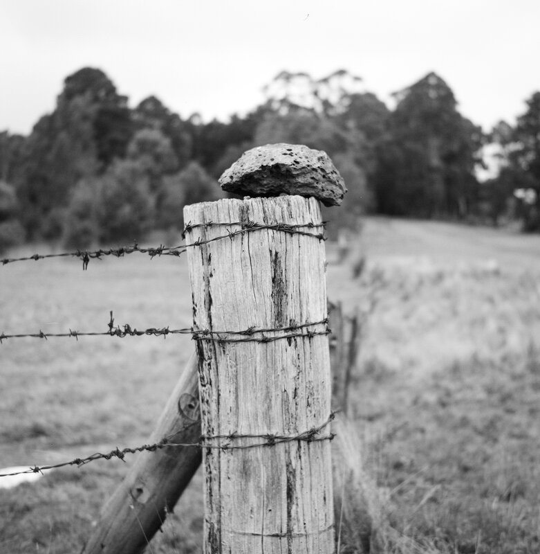 Wooden fence post with rock