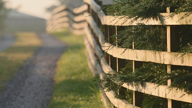 Wooden Fence with Evergreen Branches