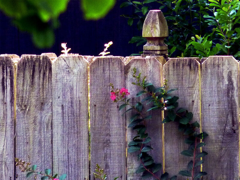 wooden fence with flowers