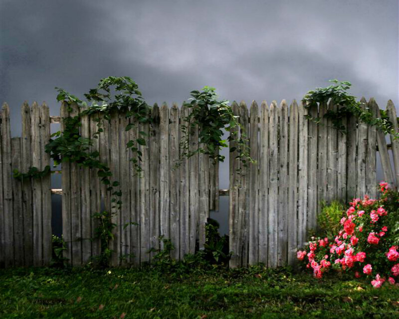 Wooden Fence with Flowers — Gray