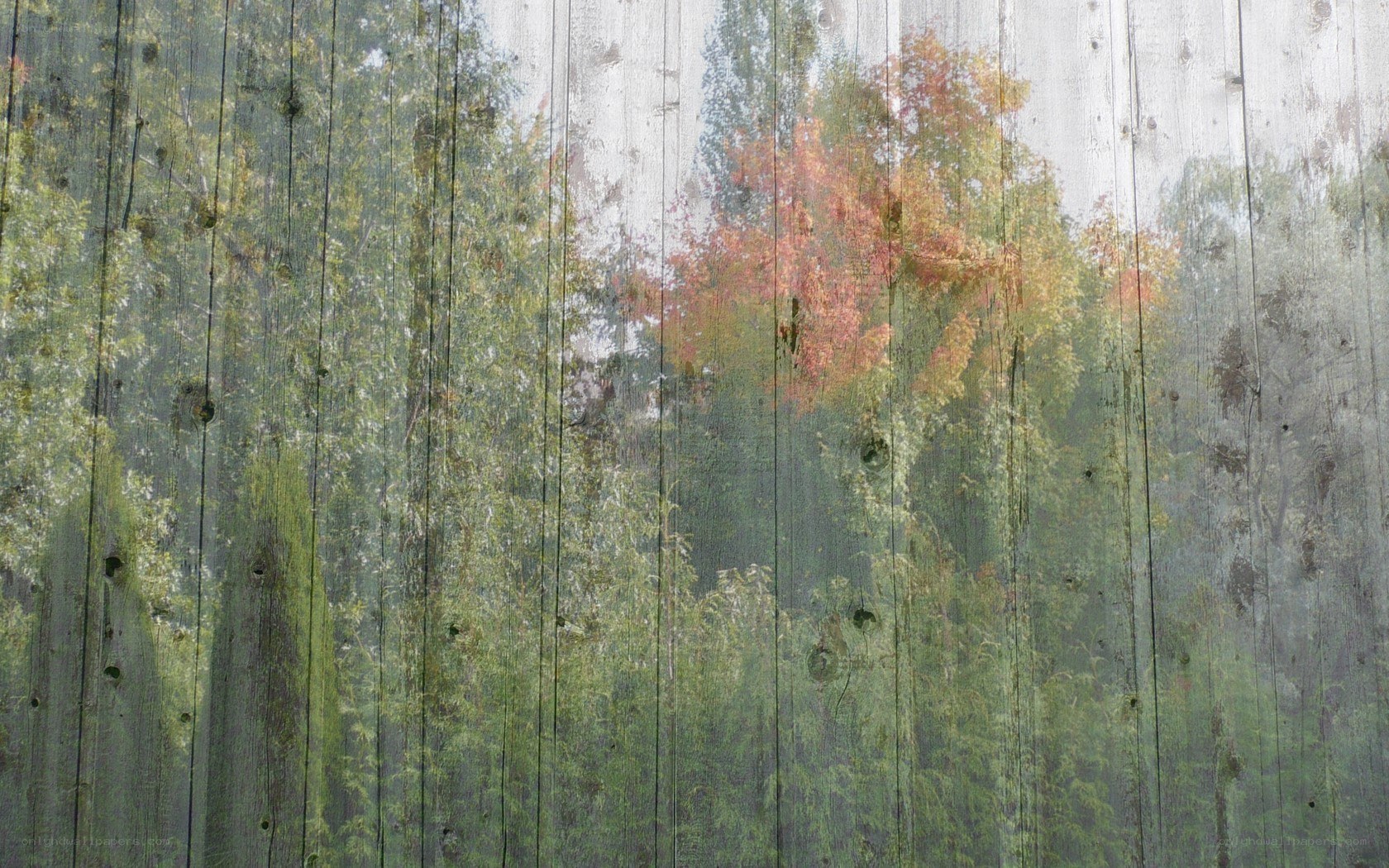 wooden fence with forest reflection
