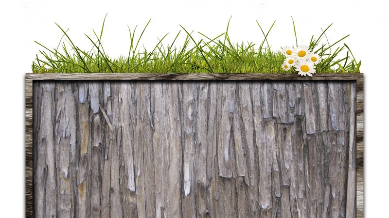 Wooden Fence with Grass