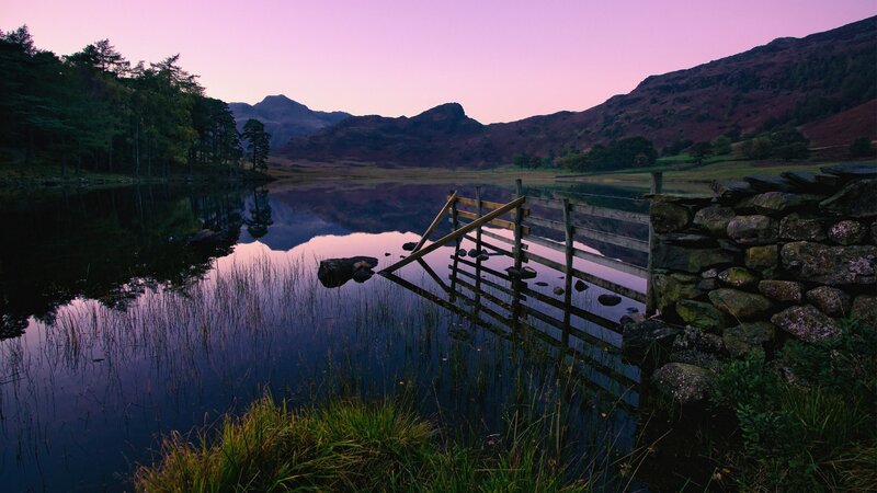 Wooden Gate at Lake — Purple